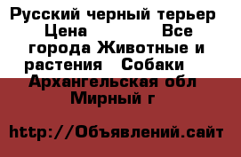 Русский черный терьер › Цена ­ 35 000 - Все города Животные и растения » Собаки   . Архангельская обл.,Мирный г.